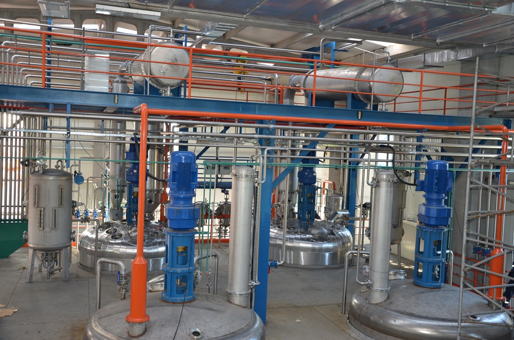 Chemical & Process Plants